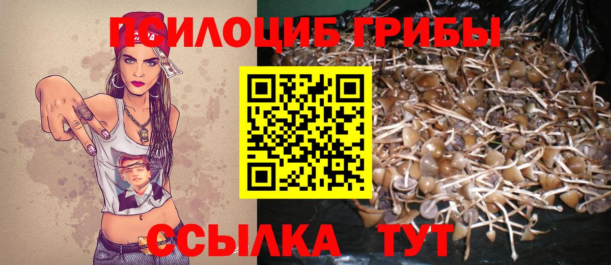 Новокубанск  где найти наркотики  Вход с VPN  Галлюциногенные грибы GOLDEN TEACHER 